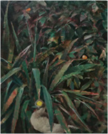 油画